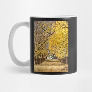 The Long Driveway in Autumn / Fall Mug